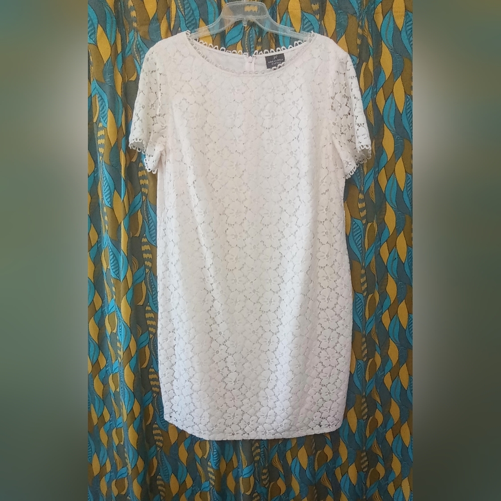 Adrianna Papell Ivory Lace Sheath Dress ~ 16W